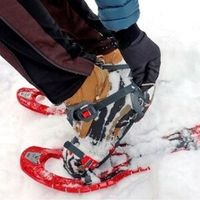 Снегоступы