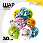 Шар латексный 30см С ДР! Мечтай Отмечай (Ассорти)