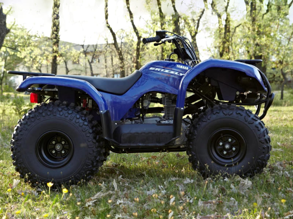 Квадроцикл GRIZZLY 125