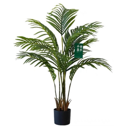 Пальма Дипсис 120 см.