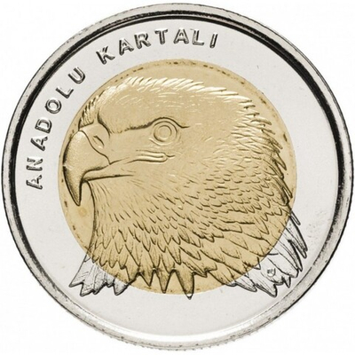 Анатолийский орёл