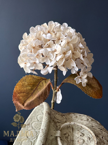 Гортензия кремовая 45 см