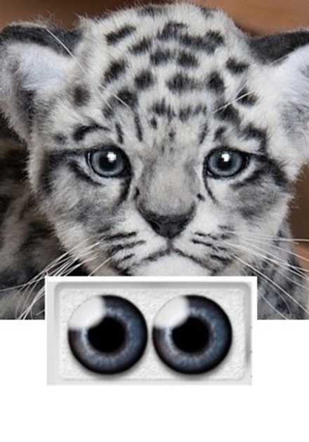 Глазки № 5 (натуральные)