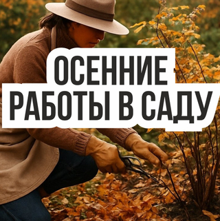 Полезные советы по уходу