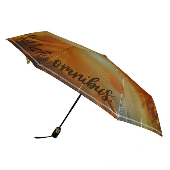 Женский зонт Три Слона - Полный автомат 3852-A-04