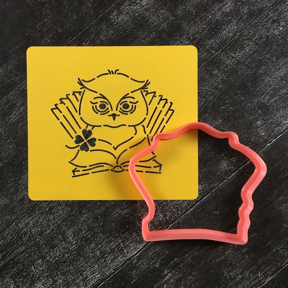 Сова №22 С книжками