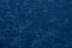 Микровелюр Phlox (Флокс) 19