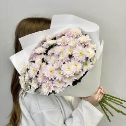 Перламутр Букет нежно-розовых хризантем