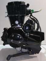 Двигатель 250см3 166FMM (с балансирующим валом) Мотоцикл Racer PANTHER 250