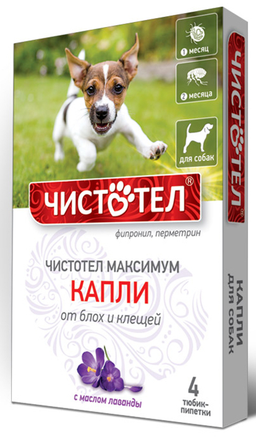 Чистотел максимум капли от блох и клещей, для собак, с лавандой, 4 пипетки