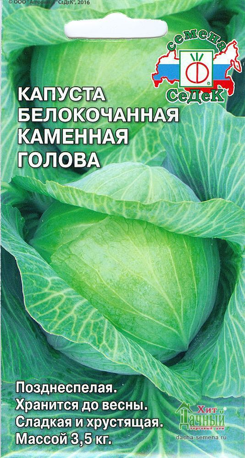 Капуста белокочанная Каменная голова