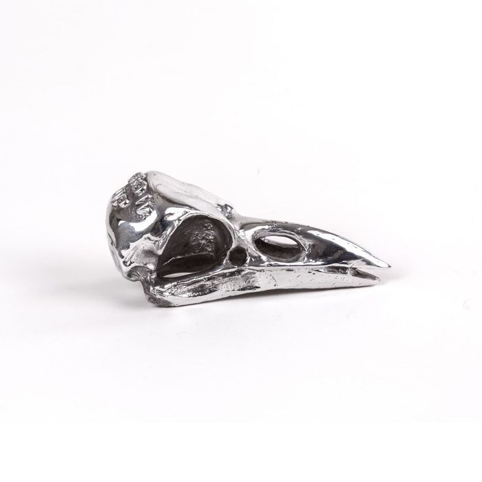 Статуэтка Seletti Wunderkammer Bird Skull 10895