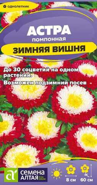 Астра Зимняя Вишня помпонная 0,2г Семена Алтая