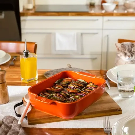 Прямоугольная форма для запекания 40х25.7см 5.2л Peugeot Terracotta