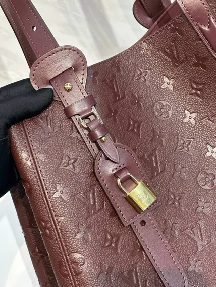 Сумка Louis Vuitton All In One