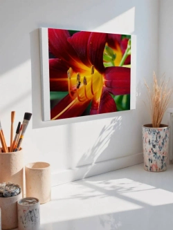 Картина на стену 40 X 50 Лилия
