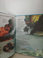 Акулы (Энциклопедия + Интернет. Неизвестные и удивительные факты)