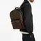 Рюкзак Louis Vuitton Josh канва Monogram Macassar коричневый