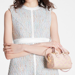 Сумка LOUIS VUITTON Speedy Nano, M81508