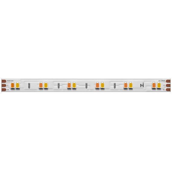 Светодиодная лента Maytoni 12W/m 120LED/m 2835SMD от теплого до холодного 5M 201123