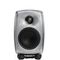 Genelec 4010ARw