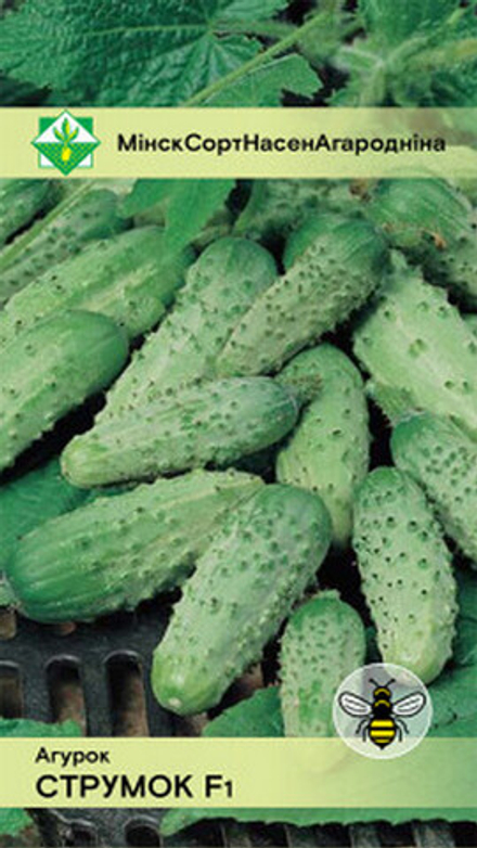 Огурец "Струмок F1" 0.6г, Молдова.
