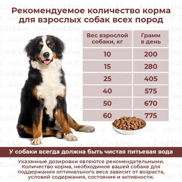 Сухой корм Дилли для взрослых собак 