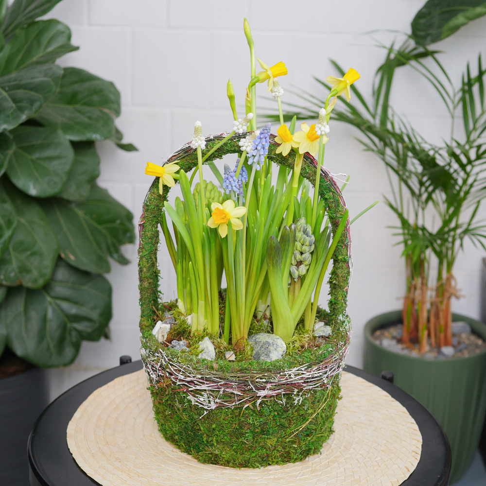 Композиция с первоцветами Лесная корзина L