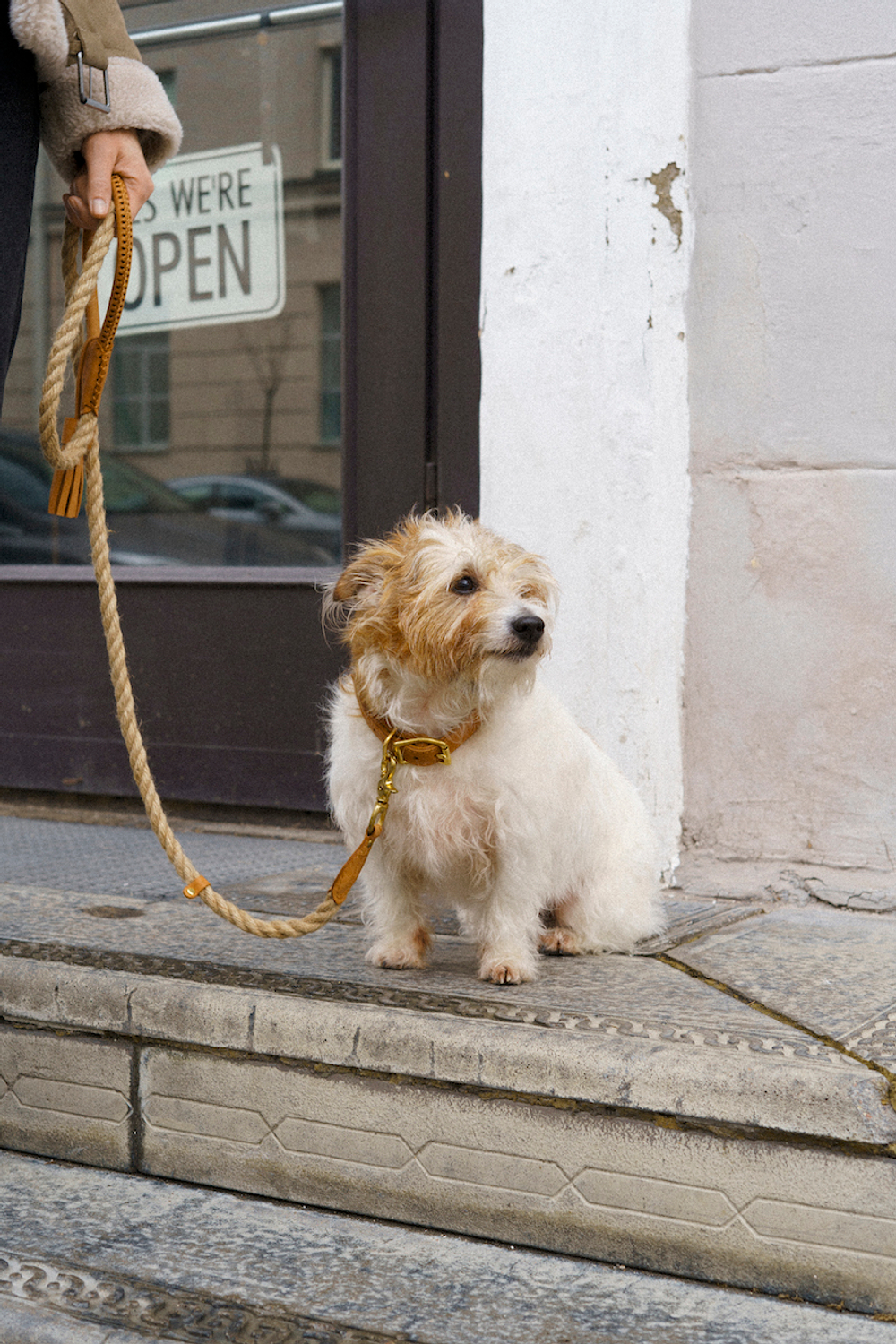 Поводок "Кантри-пони" Рыжий (льняной канат)