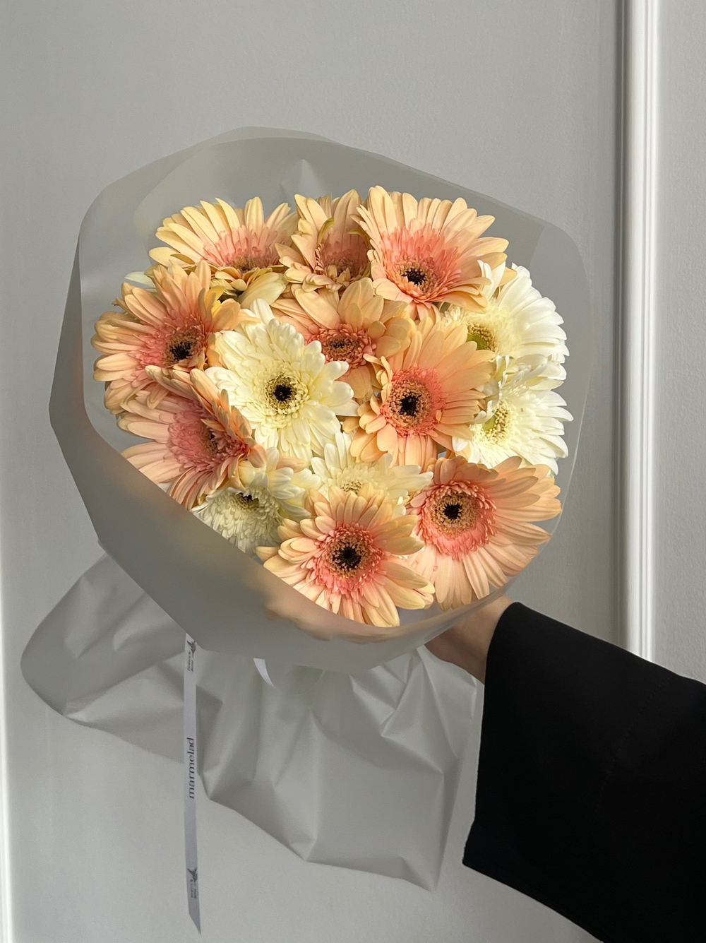 Букет из гербер в кремовом оттенке 15 шт