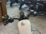 Harley-Davidson Sportster Iron 883 (XL883N) 2018
