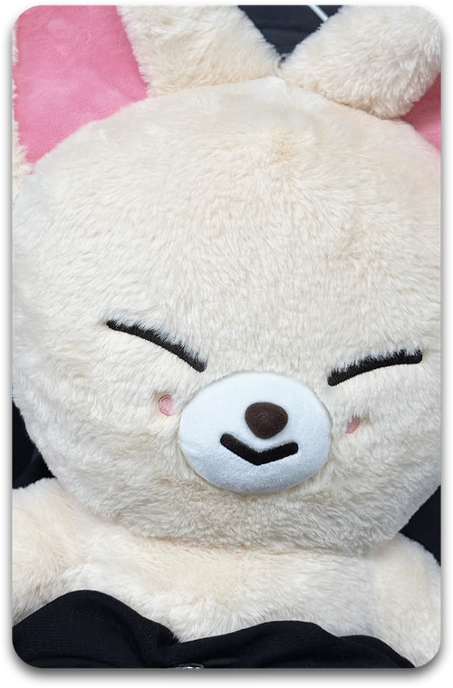 Карта / STRAY KIDS #2500