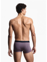 Комплект трусов-боксеров мужских Mens Knit 2-Pack Trunk EMPORIO ARMANI