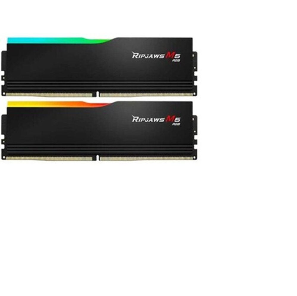 Оперативная память G.SKILL F5-6000J3238G32GX2-RM5RK