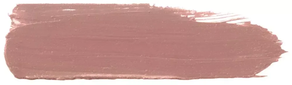 Матовая жидкая помада RELOUIS Nude Matte Complimenti - 24