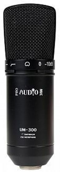 Микрофон PROAUDIO UM-300