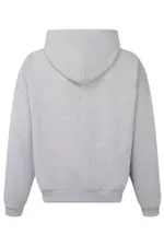 Худи Denis Detalov Titans серый