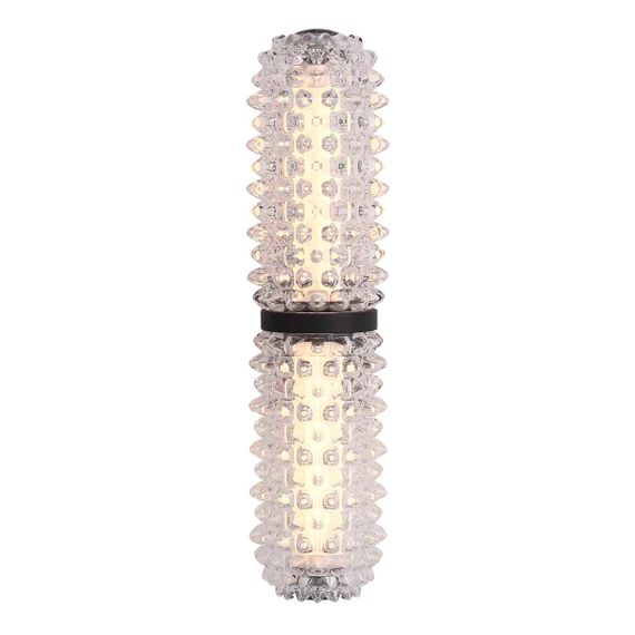 Настенный светильник ST Luce SAGUARO SL6144.401.01