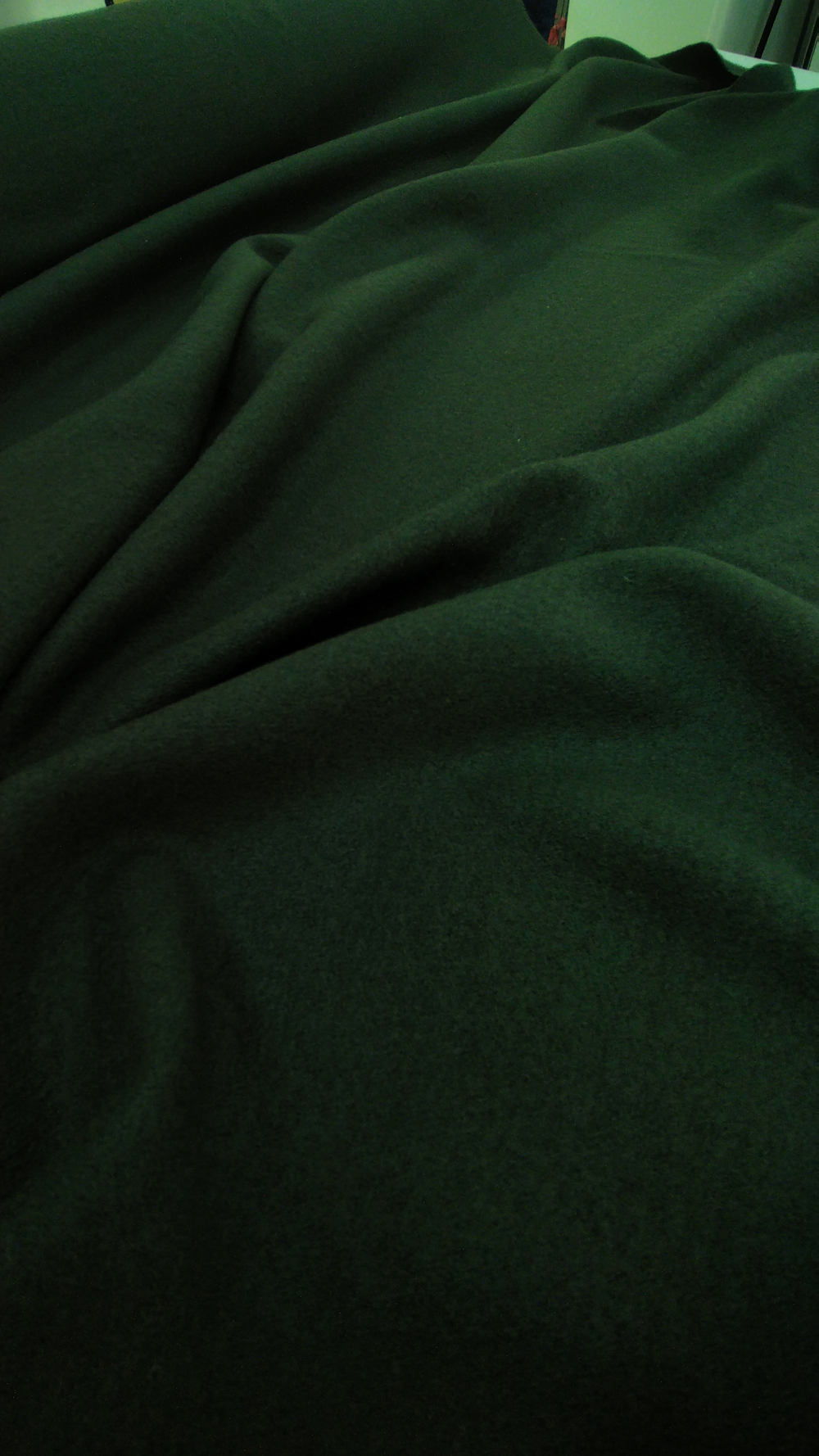 Трикотаж Лоден шерстяной