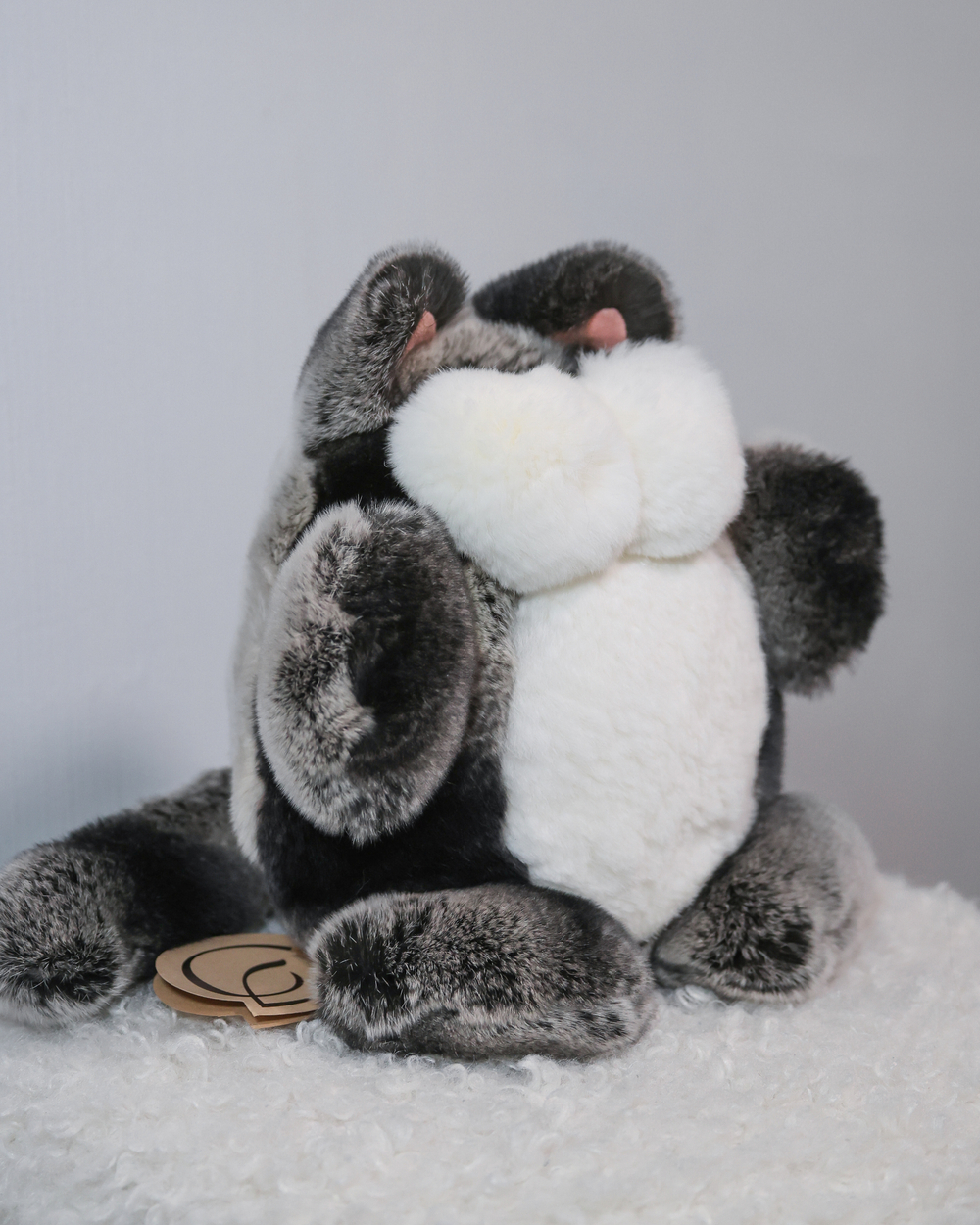 Кот Марсель (черно-шиншилловый) - уникальный окрас