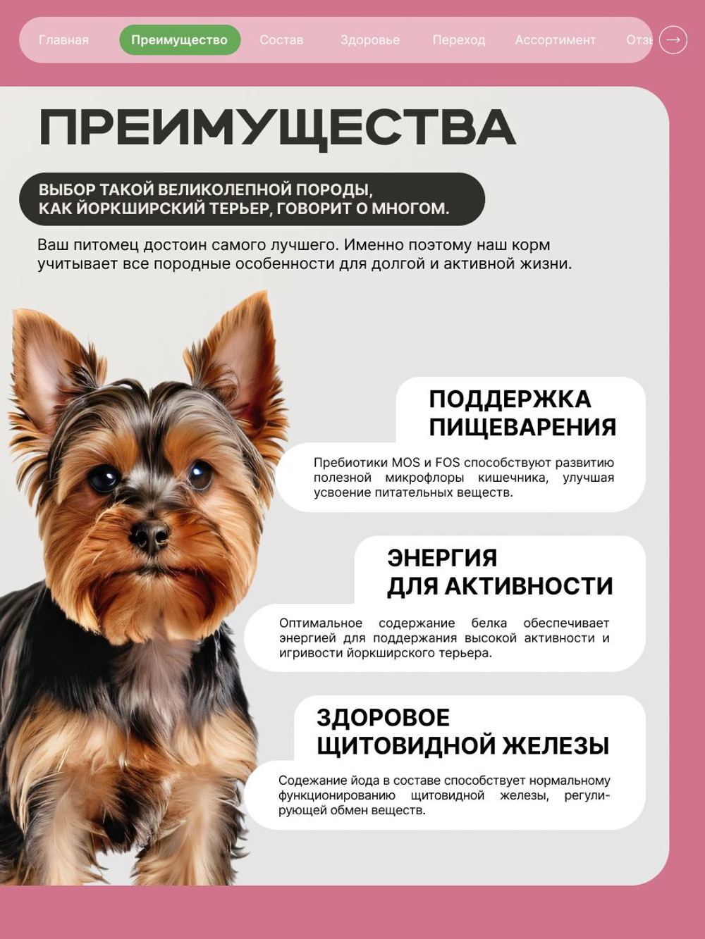 Корм сухой для взрослых собак породы Йоркширский терьер, с ягненком, 800 гр, QUATTRO
