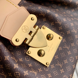 Louis Vuitton Monogram Clutch