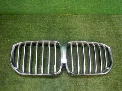 Решетка радиатора BMW X5 G05 (2018-2023)