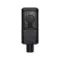 Lewitt LCT 240 PRO Black