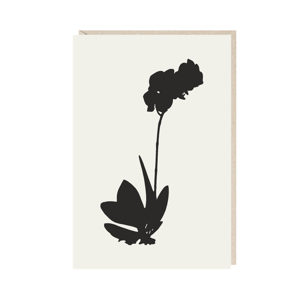 Открытка Орхидея