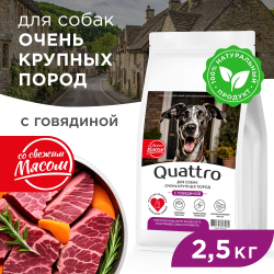 Корм сухой для взрослых собак очень крупных пород, премиум полнорационный сбалансированный, с говядиной, 2,5 кг, QUATTRO