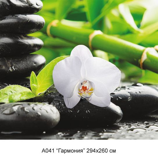 Фотообои ГАРМОНИЯ А041 294х260 VIP VOSTORG