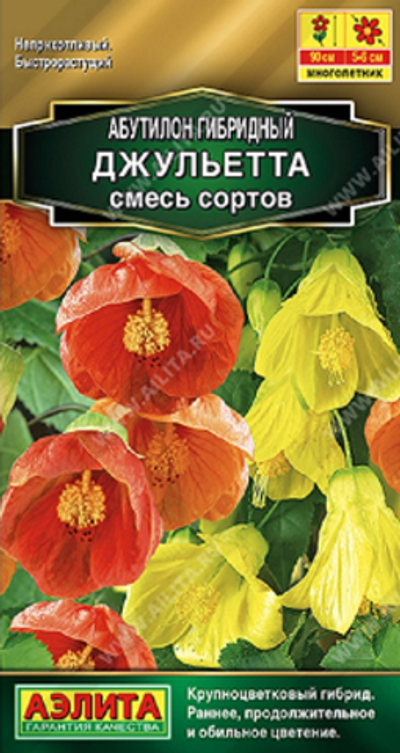 Абутилон гибридный Джульетта, смесь сортов