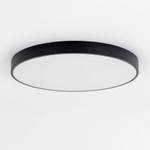 Citilux Купер CL724105G1 LED RGB Светильник с пультом Чёрный