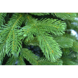 Ель искуственная Царь елка Северное сияние премиум 210 см